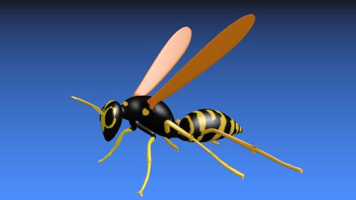 Wasp preview image